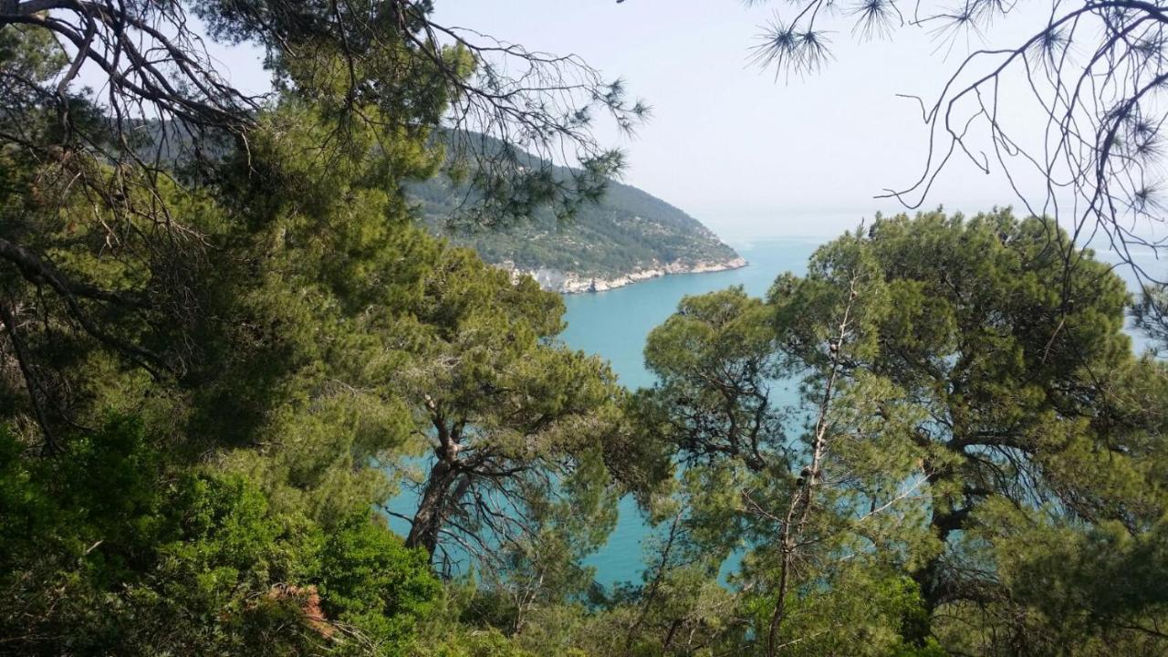 Olive&Sea Villa-Sea Mattinata Eksteriør billede