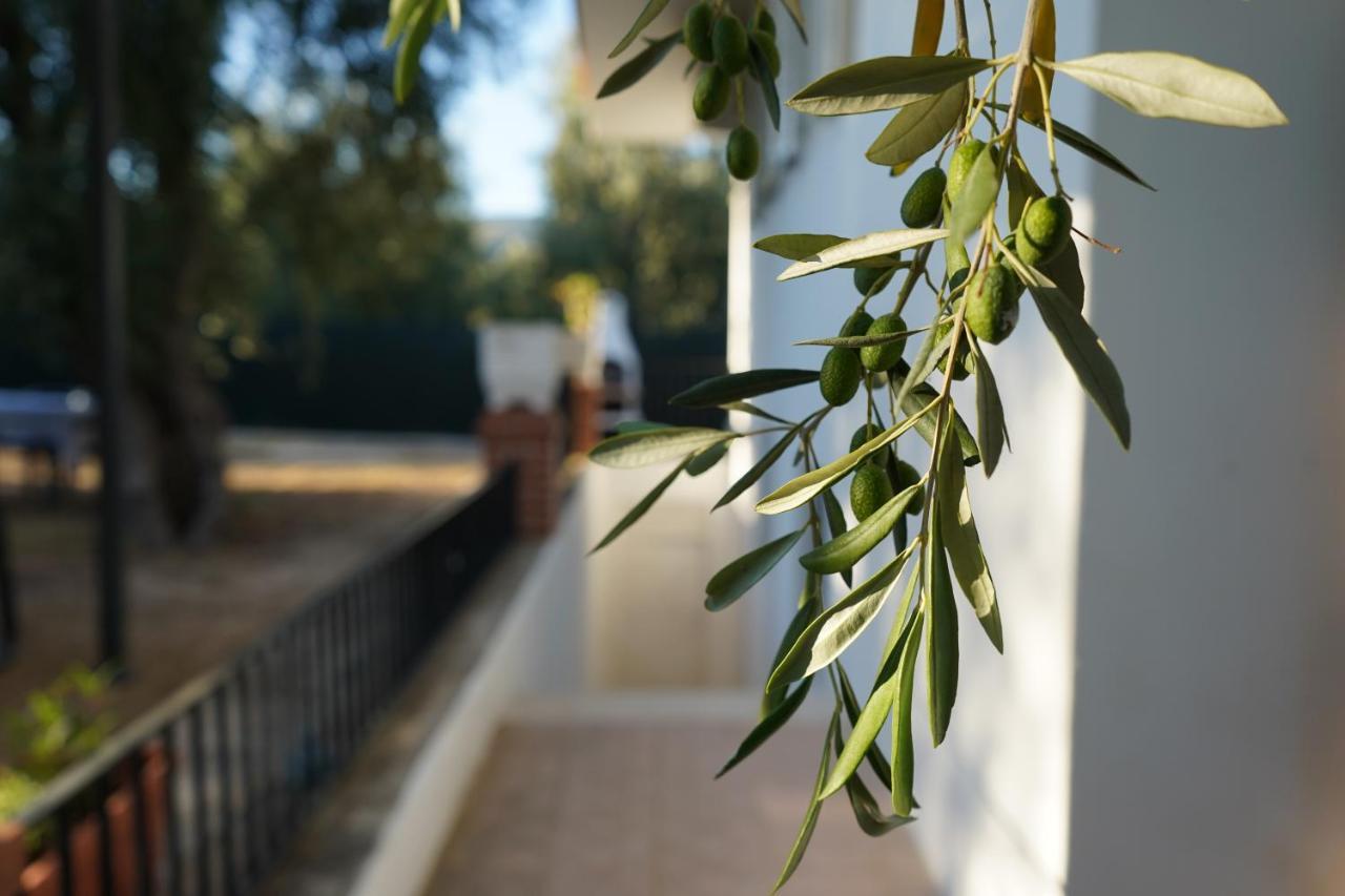 Olive&Sea Villa-Sea Mattinata Eksteriør billede