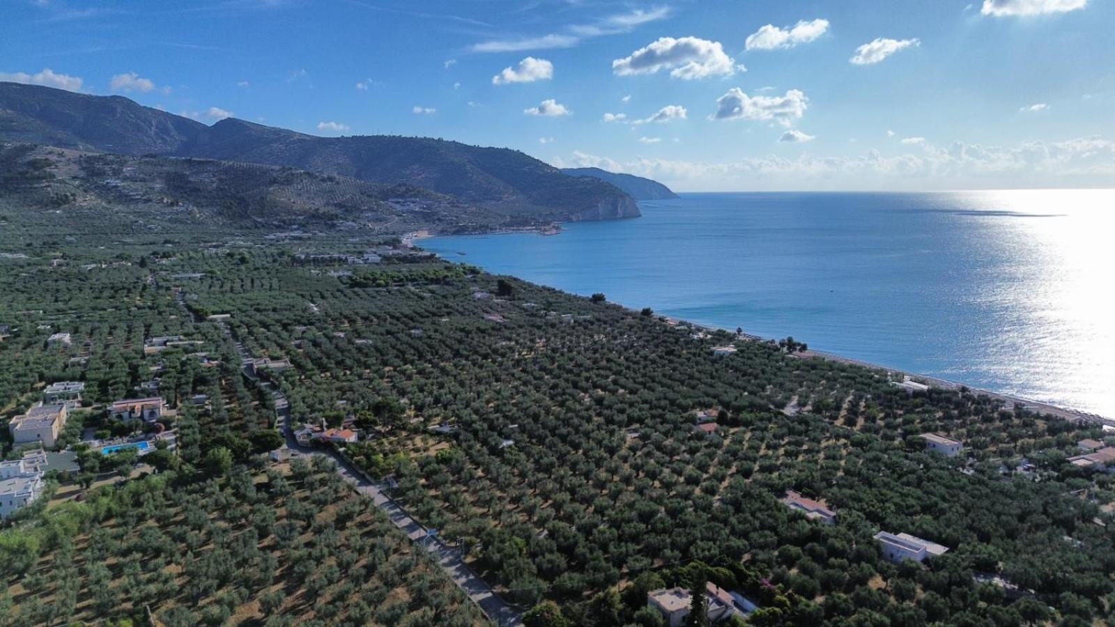 Olive&Sea Villa-Sea Mattinata Eksteriør billede